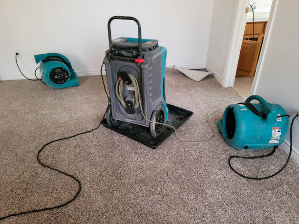 Best Water damage restoration near me  in Edgewood, KY