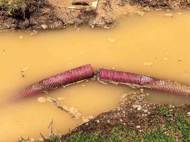 Best Water damage restoration cost  in Edgewood, KY