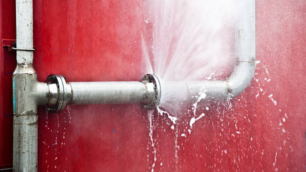 Best Water damage contractors near me  in Edgewood, KY