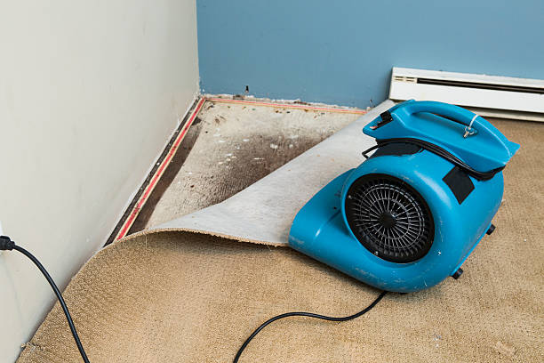 Best Water damage restoration near me  in Edgewood, KY